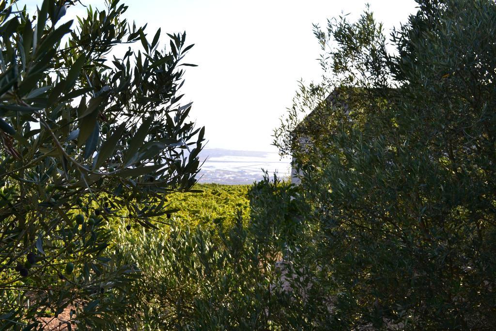 Casa Nel Vigneto Erice Guest House Exterior foto